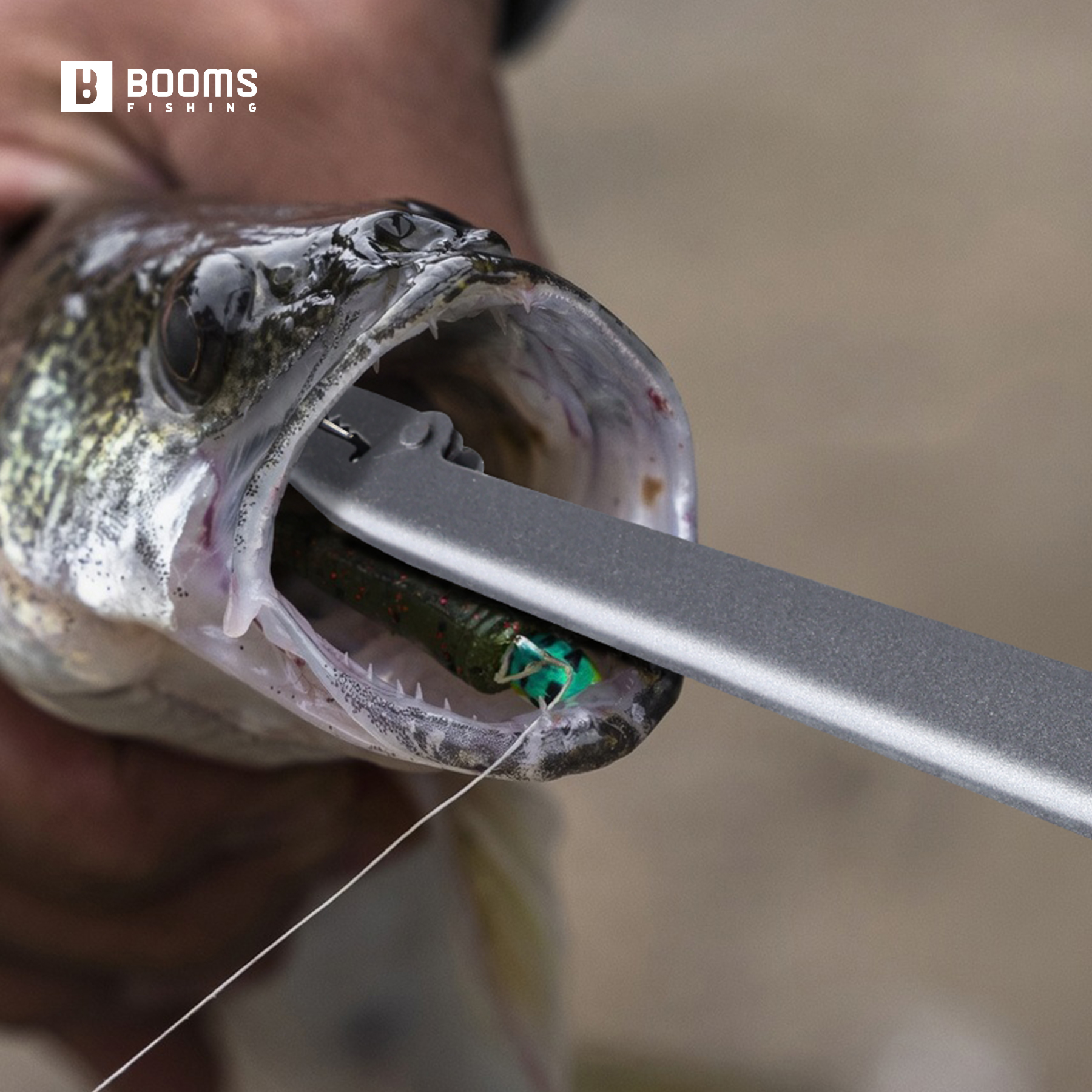 Booms Fishing 25cm Carbon Stee – обзор и цена Fishing Equipment Price